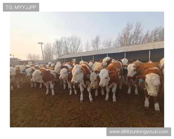 尊龙凯时娱乐注册登录最新优惠活动，登录即可享受丰富奖励和专属福利提升游戏乐趣